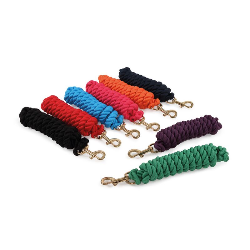 Leads
